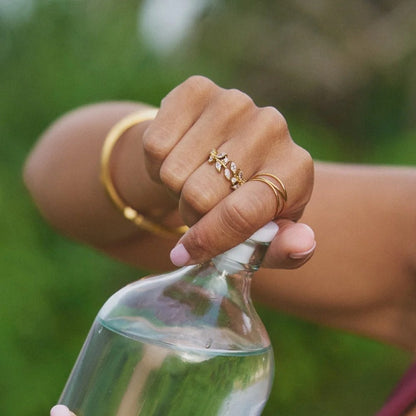 Anillo de enredadera